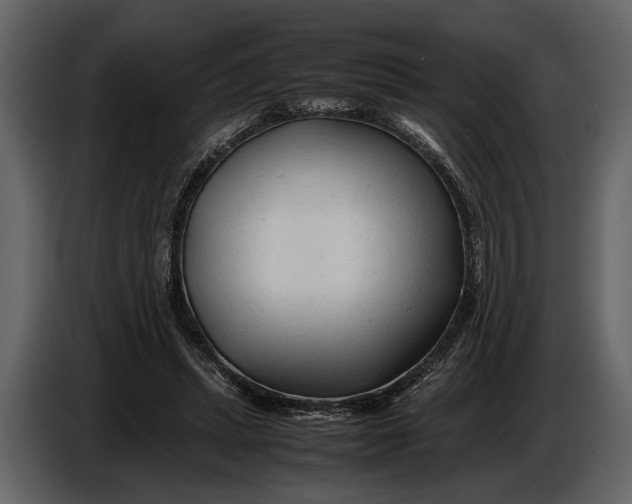X0000086960447200705071339