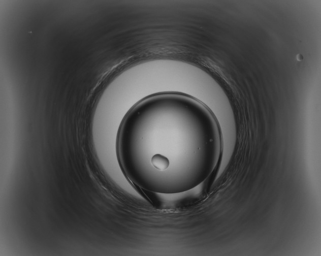 X0000086960448200705071339