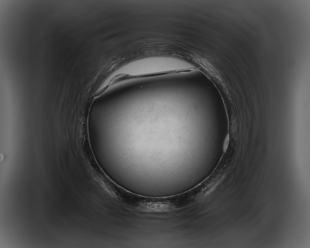 X0000086960449200705071339