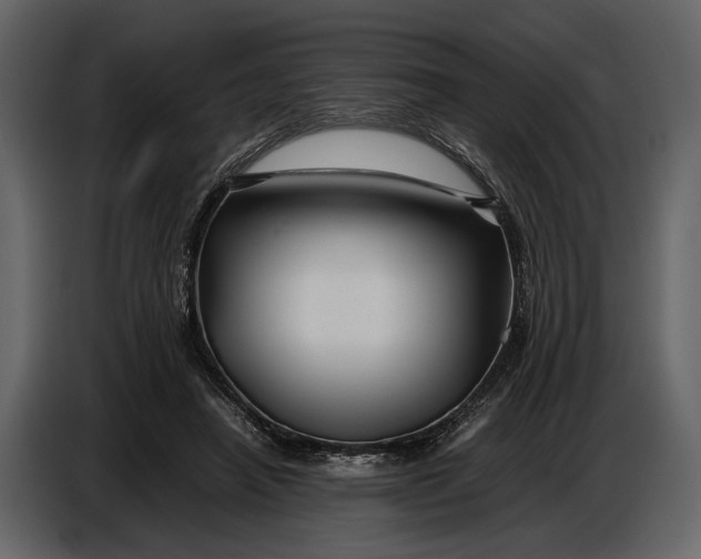 X0000086960450200705071339