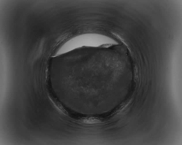 X0000086960451200705071339
