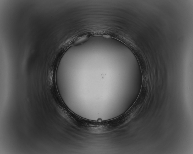 X0000086960454200705071339