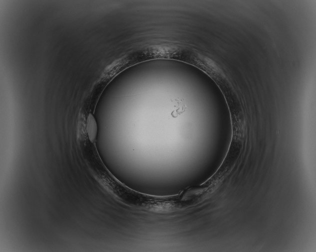 X0000086960456200705071339