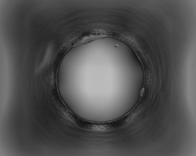 X0000086960457200705071339