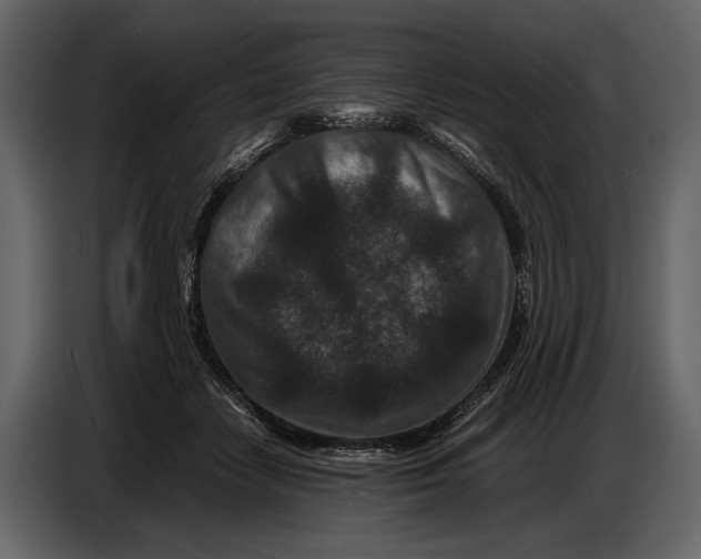 X0000086960458200705071339