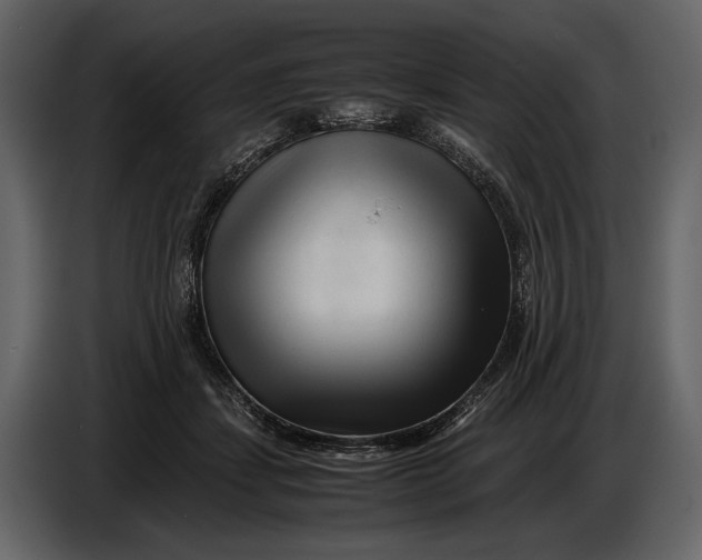 X0000086960459200705071339