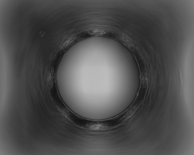 X0000086960460200705071339