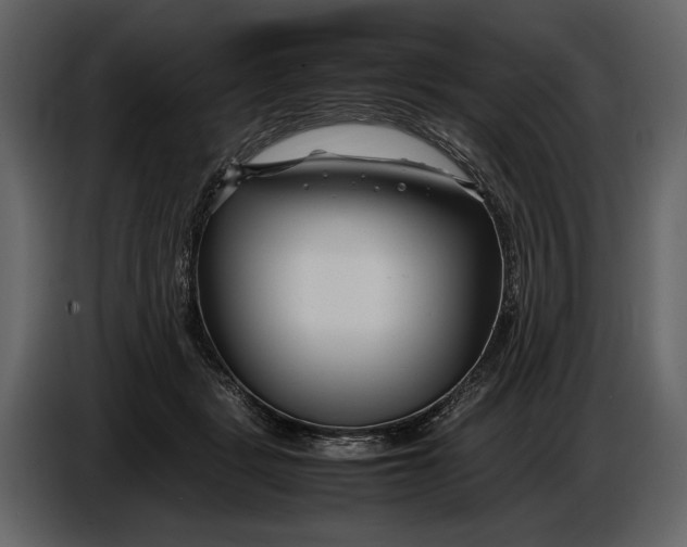 X0000086960461200705071339