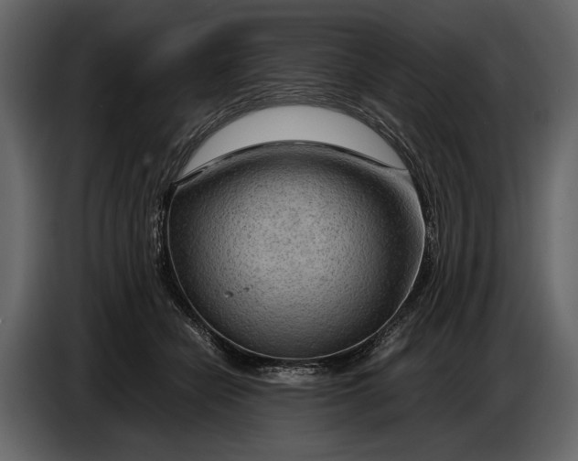 X0000086960462200705071339