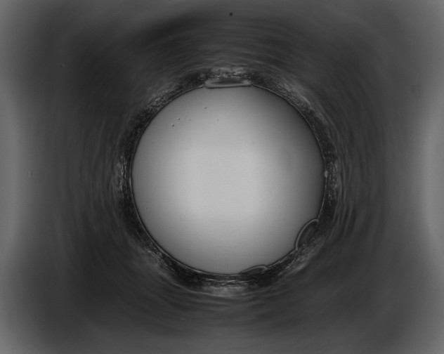 X0000086960463200705071339