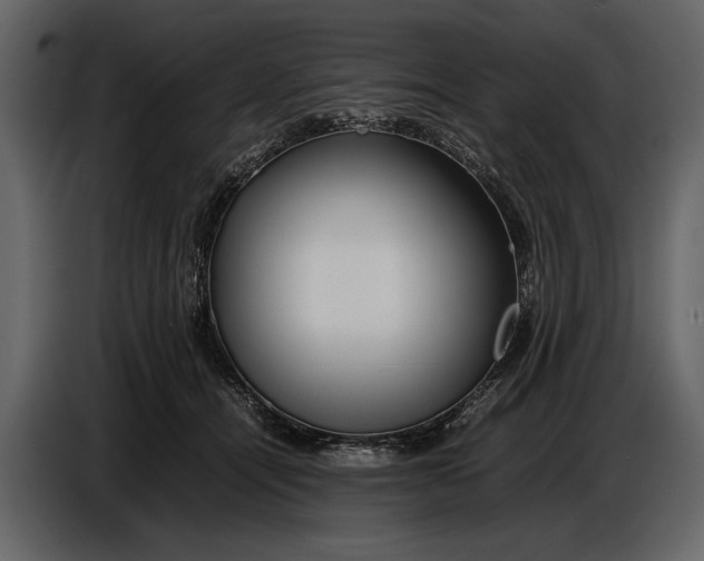 X0000086960464200705071339