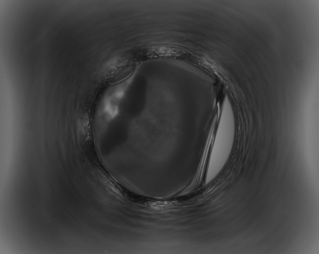 X0000086960465200705071339