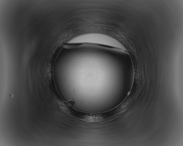 X0000086960466200705071339