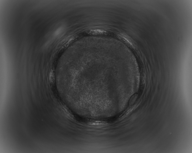 X0000086960467200705071339