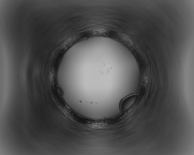 X0000086960468200705071339