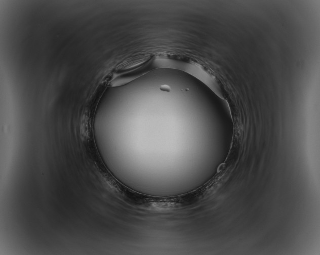 X0000086960470200705071340