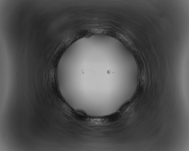 X0000086960473200705071340
