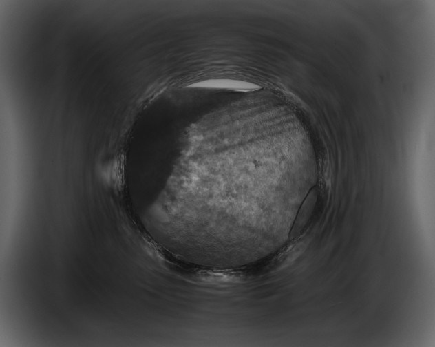 X0000086960475200705071340