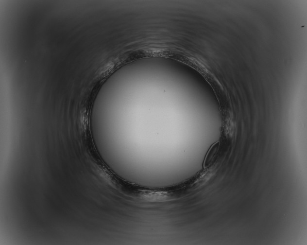 X0000086960476200705071340