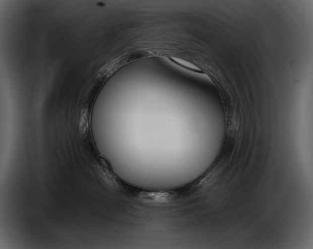 X0000086960478200705071340