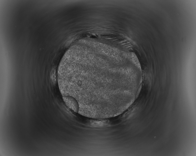 X0000086960479200705071340