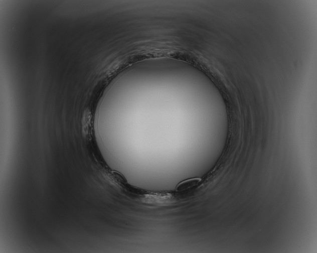 X0000086960480200705071340