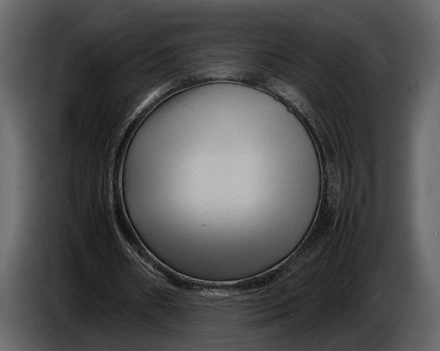 X0000086960482200705071339