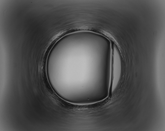 X0000086960483200705071339