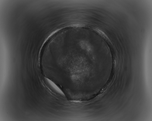 X0000086960484200705071339