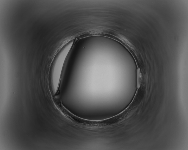 X0000086960485200705071339