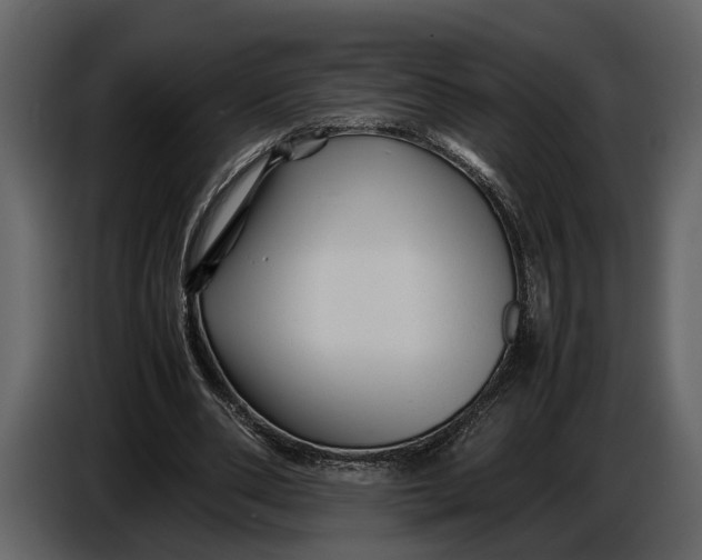 X0000086960486200705071339