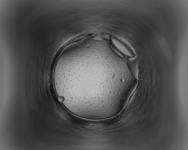 X0000086960487200705071339