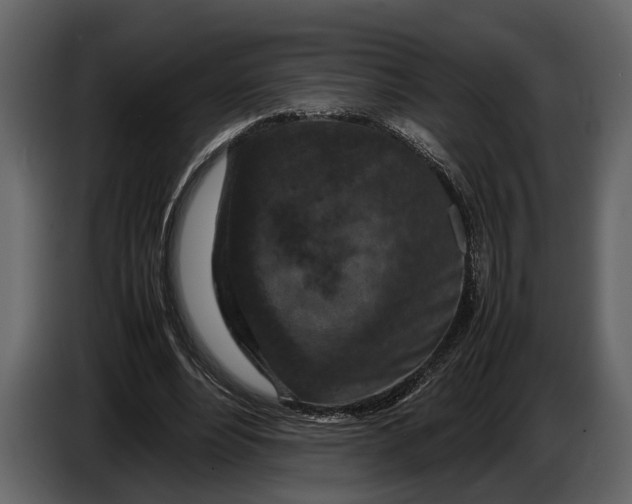 X0000086960488200705071339
