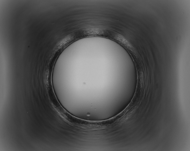 X0000086960490200705071339