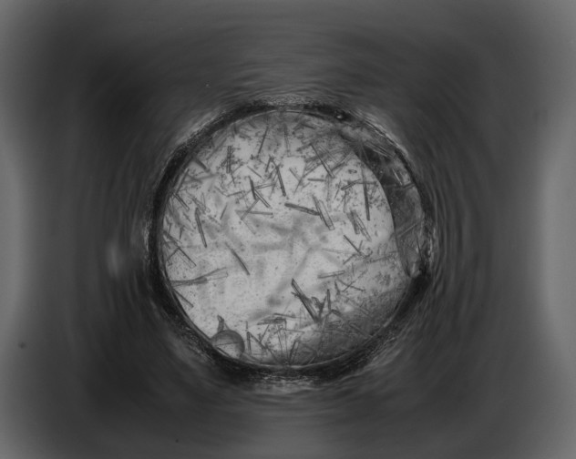 X0000086960491200705071339
