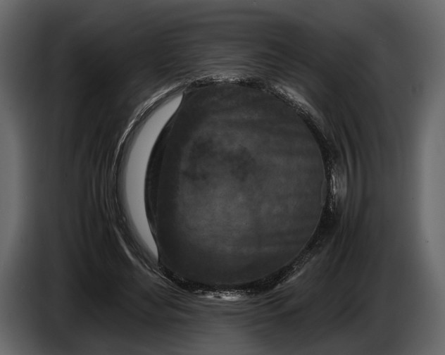 X0000086960492200705071339
