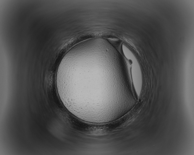 X0000086960495200705071339