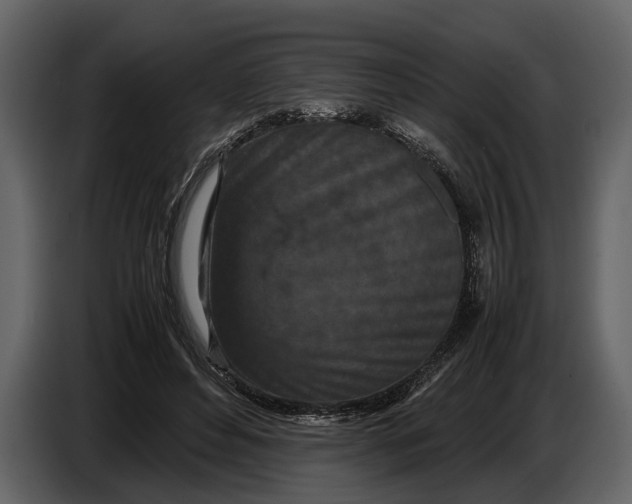 X0000086960496200705071339