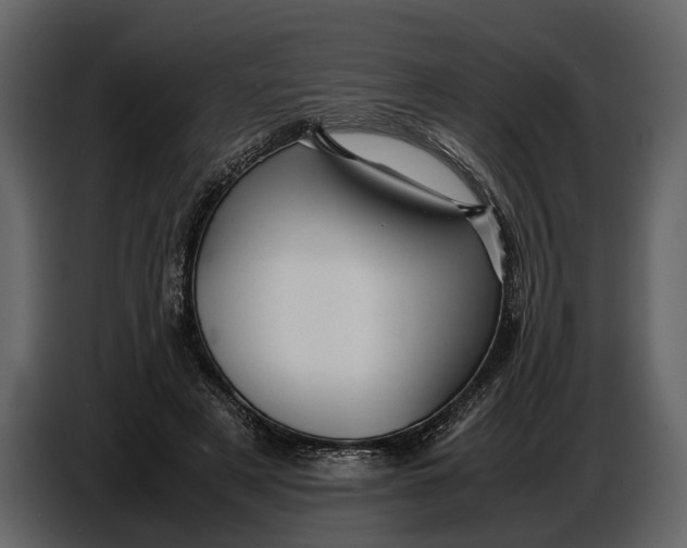 X0000086960497200705071339