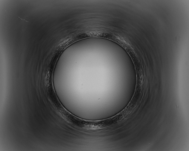 X0000086960498200705071339