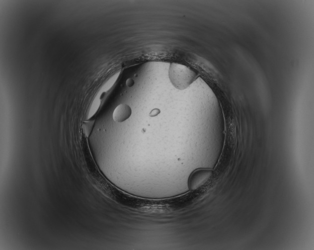 X0000086960499200705071339