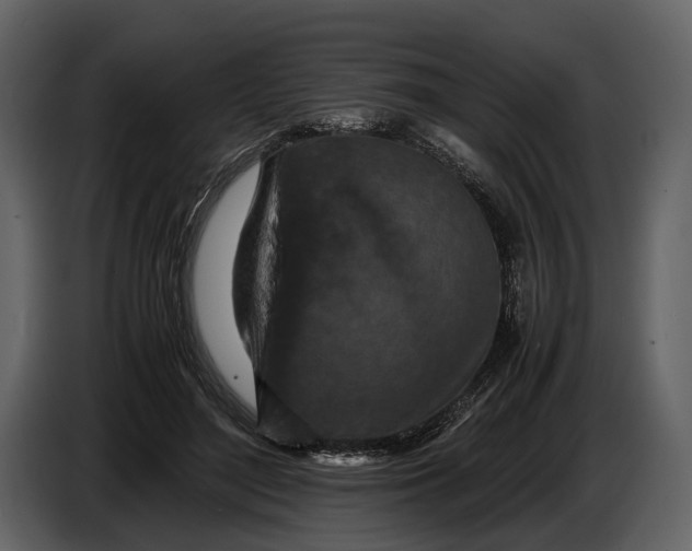 X0000086960500200705071339
