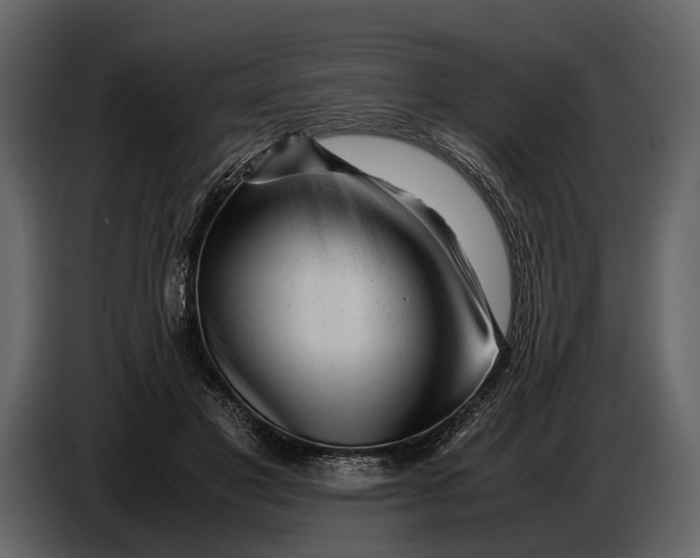 X0000086960501200705071339