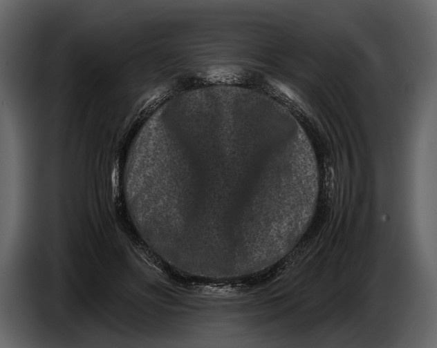 X0000086960502200705071339