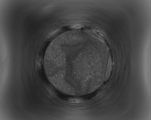 X0000086960503200705071339