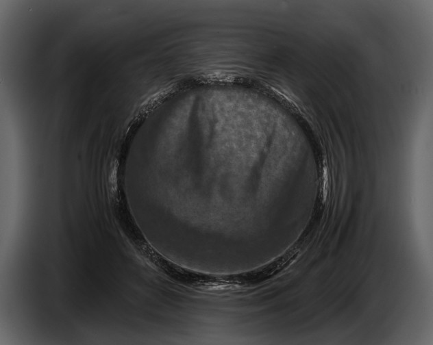 X0000086960504200705071339