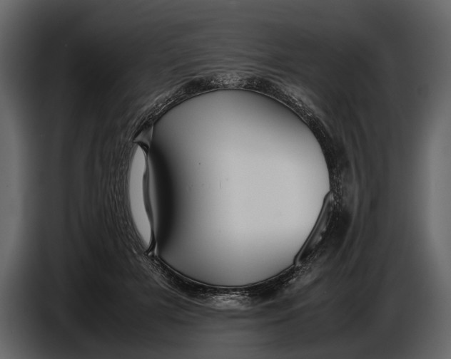 X0000086960505200705071339