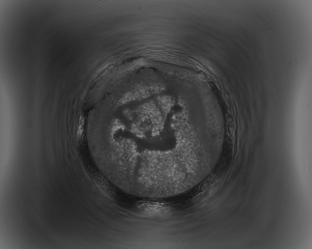 X0000086960507200705071338