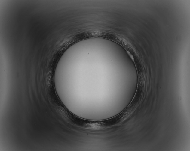 X0000086960509200705071338