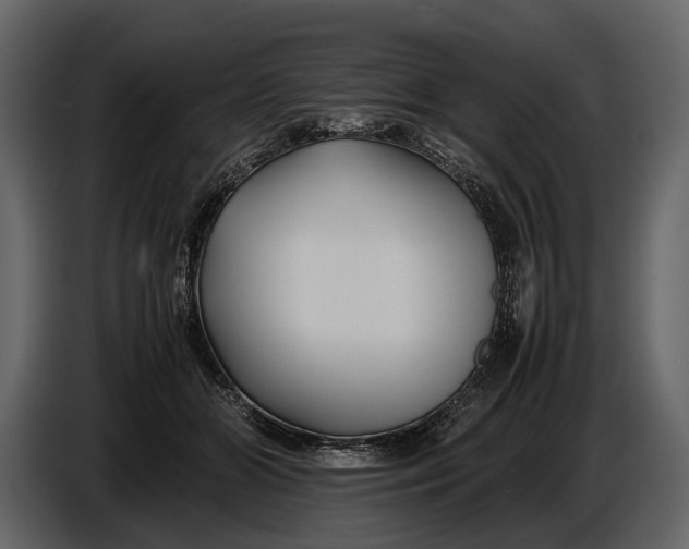 X0000086960510200705071338